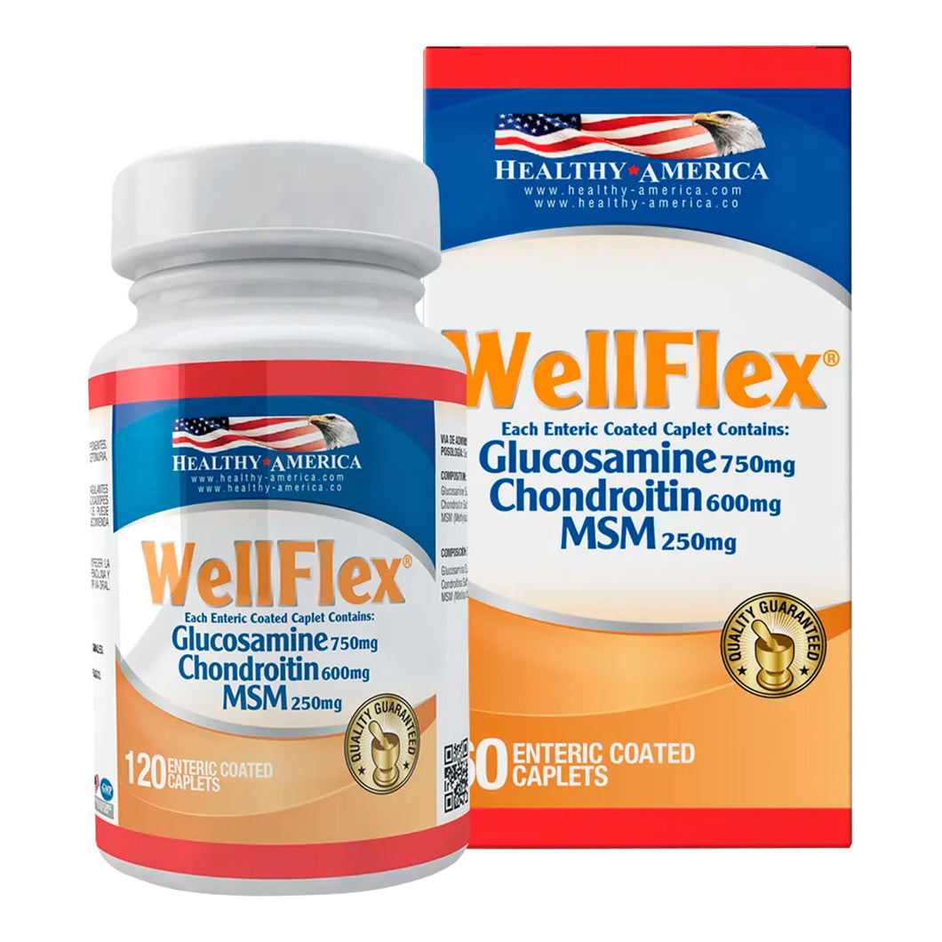 WELLFLEX  X 120 TAB HA